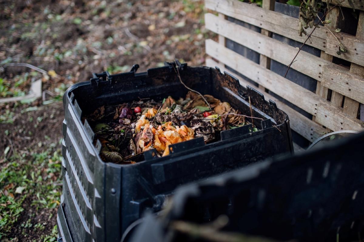 Cum să faci compost din frunze în 2 săptămâni / foto depositphotos.com