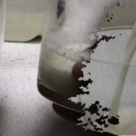 În câteva secunde și fără substanțe chimice: cum să verificați