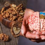 Nucile vor îmbunătăți performanța mentală, dar există o nță la