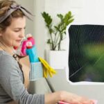 Păianjenii vor fugi din apartamentul tău cu picioarele sclipitoare: iată