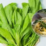 Cu sau fără blanching: cum să congelați corect frunzele de