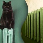 Cum să cureți rapid rugina de pe un radiator –