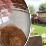 Cum să vă protejați de insecte: rețetă pentru un remediu