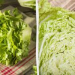 Salata rămâne proaspătă chiar și în a 10-a zi: cum