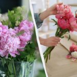 Un buchet de bujori va rămâne proaspăt timp de 2